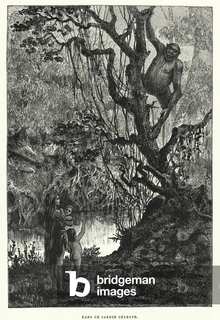 Dans Ce Jardin Celeste (engraving)