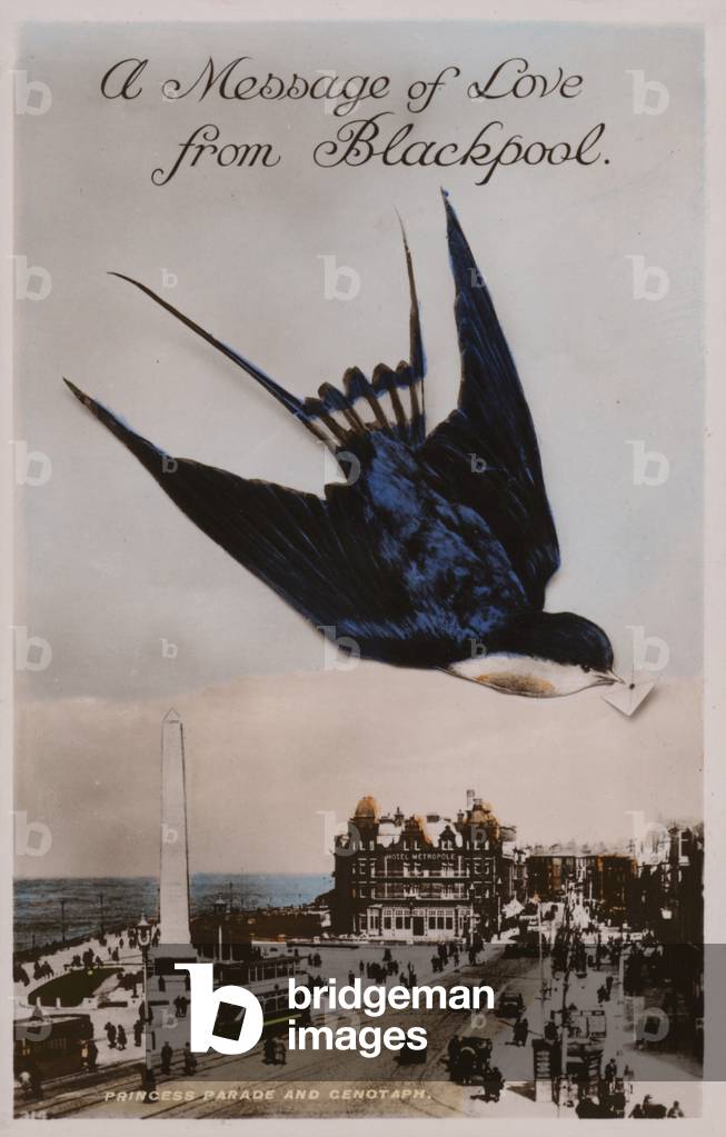 Princess Parade and Cenotaph (coloured photo)