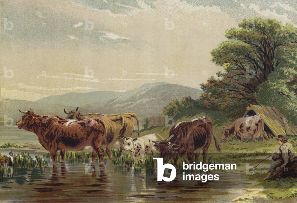 Watering the Cattle (chromolitho)