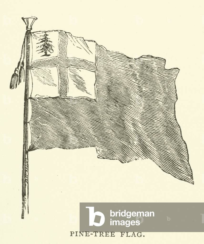 Pine-tree flag (engraving)