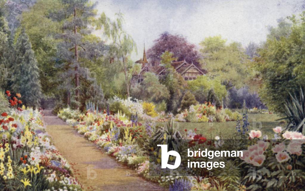 Herbaceous Border with Bulbs in May (colour litho)