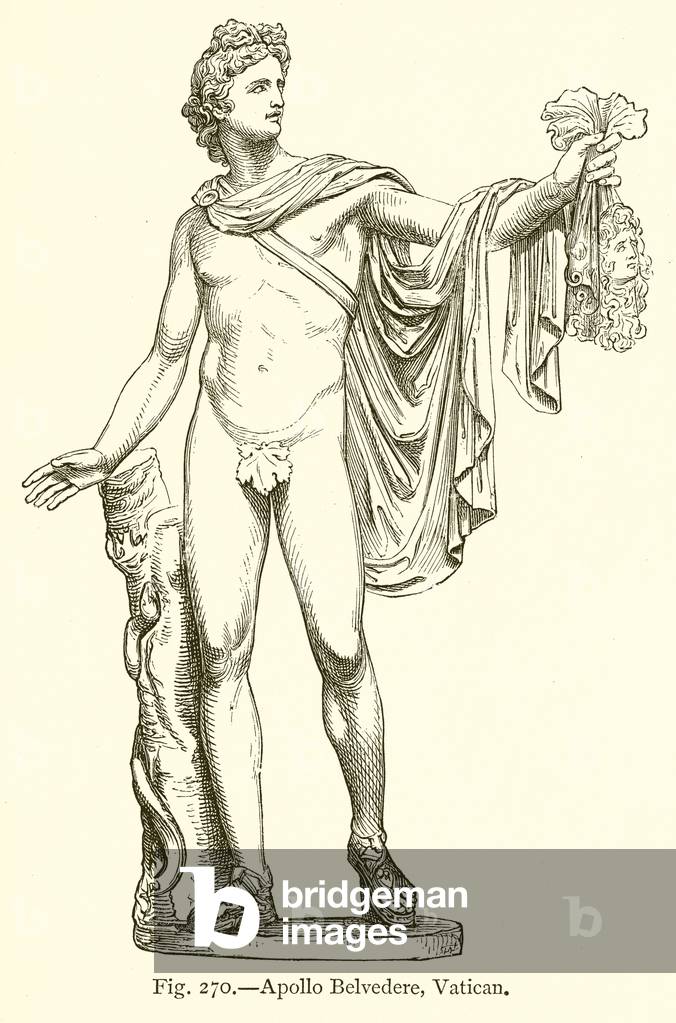 Apollo Belvedere, Vatican (engraving)