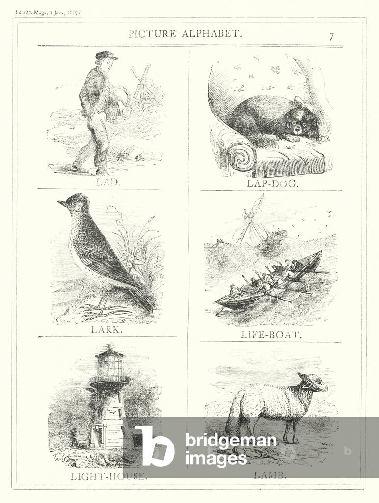 Picture Alphabet, L (engraving)