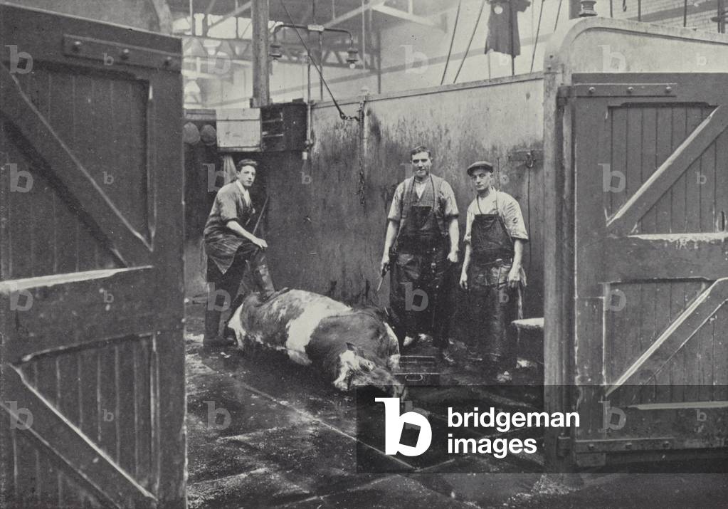 Glasgow Corporation Abattoir (b/w photo)