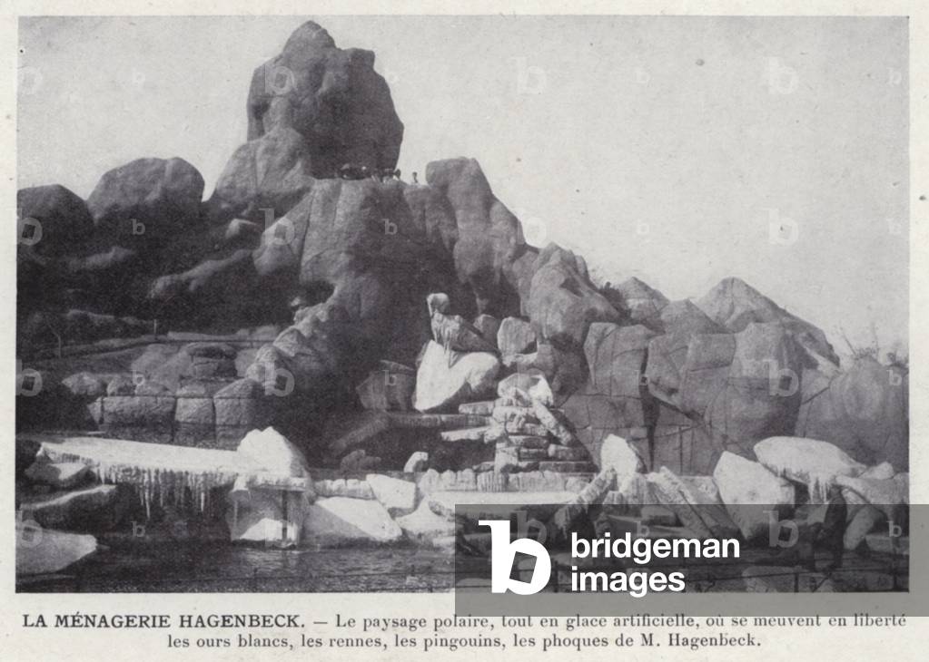 La Menagerie Hagenbeck (b/w photo)