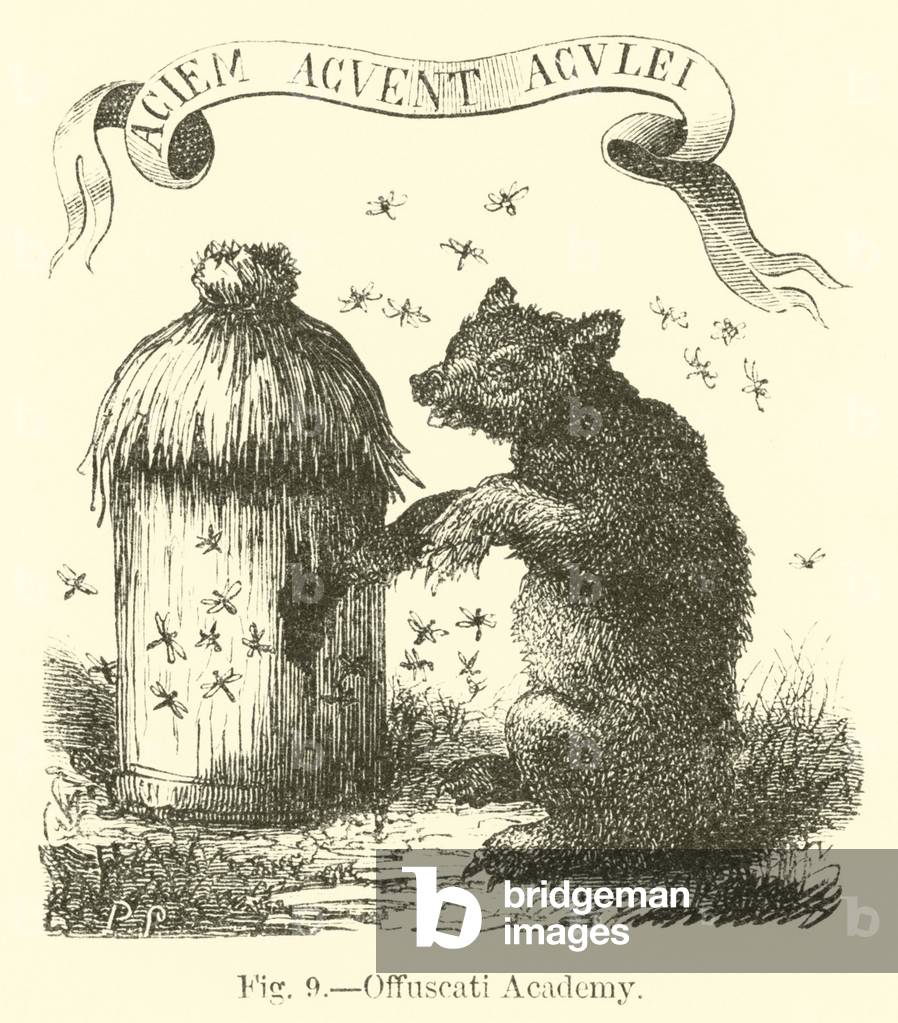 Offuscati Academy (engraving)