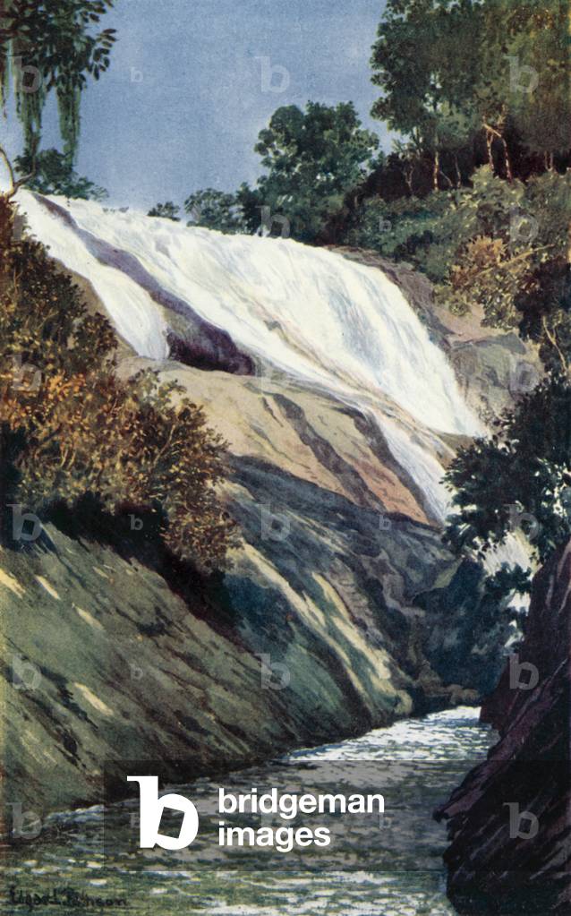 A Cascade at Tijuca, Rio (colour litho)