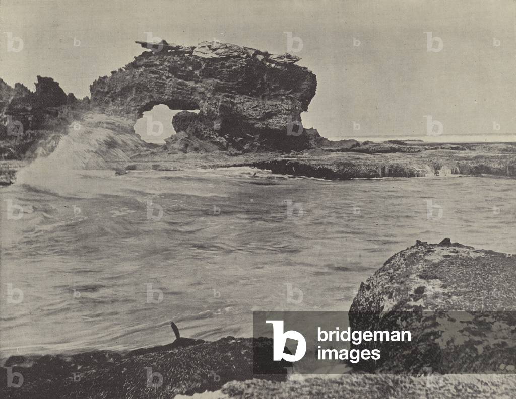 Coast Scene, Bridgewater (b/w photo)