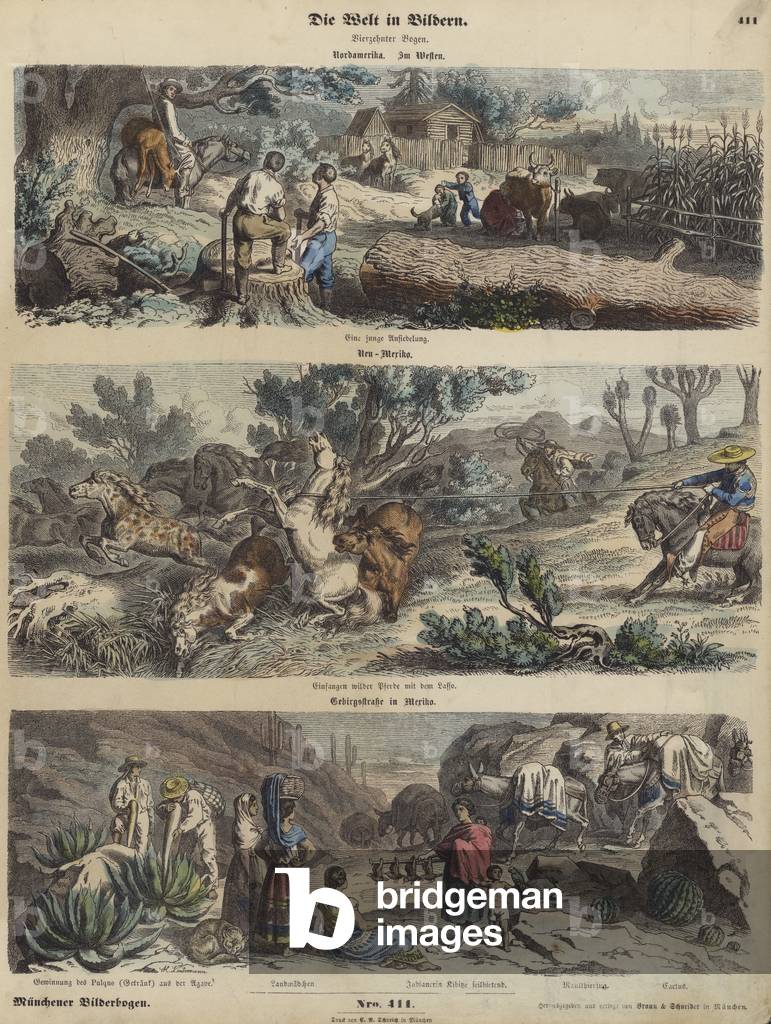 The American West: a new settlement; lassoing wild horses in New Mexico; a mountain road in Mexico (coloured engraving)