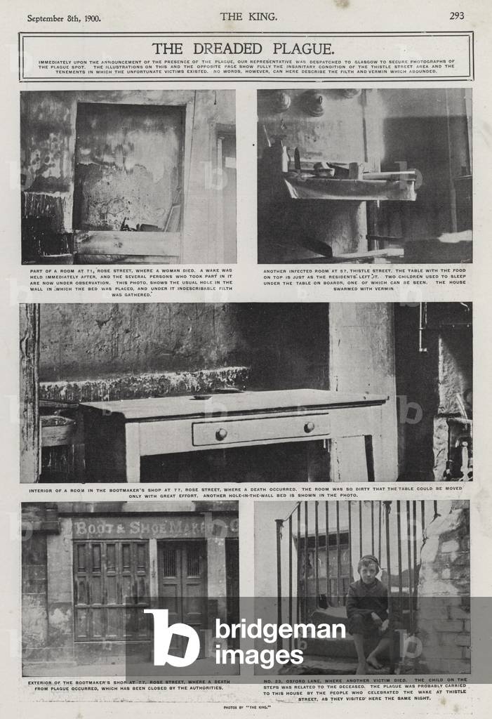 Outbreak of plague in Glasgow, Scotland, August 1900 (b/w photo)