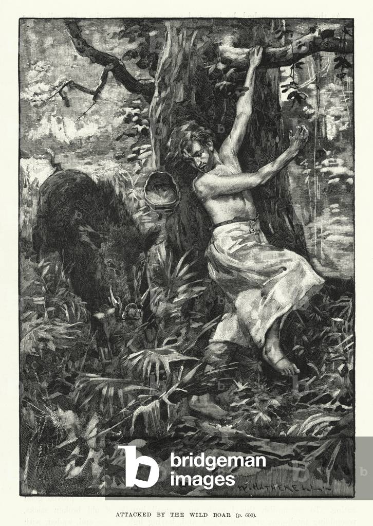 Attacked by the wild boar (engraving)