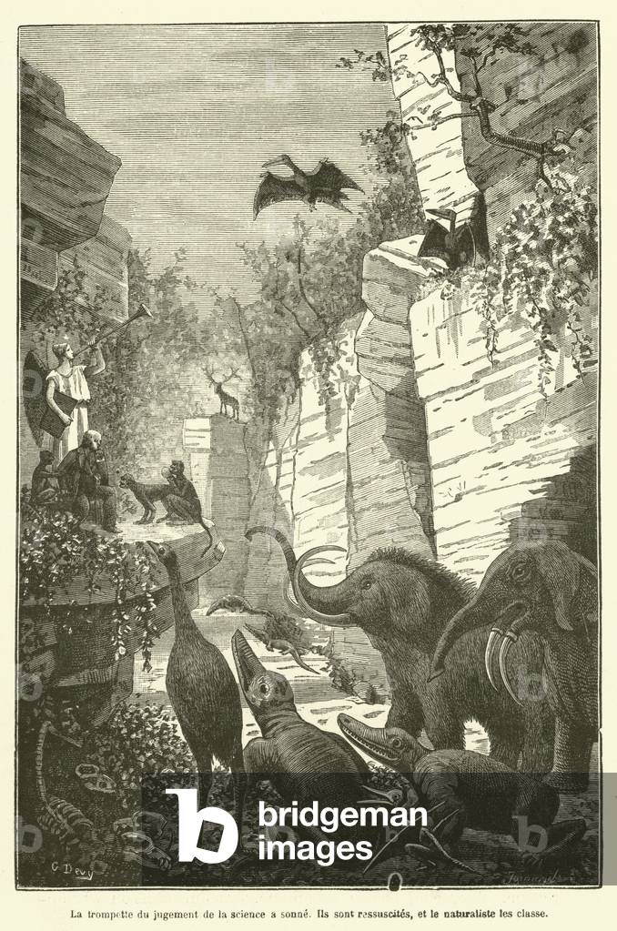 La trompette du jugement de la science a sonne (engraving)