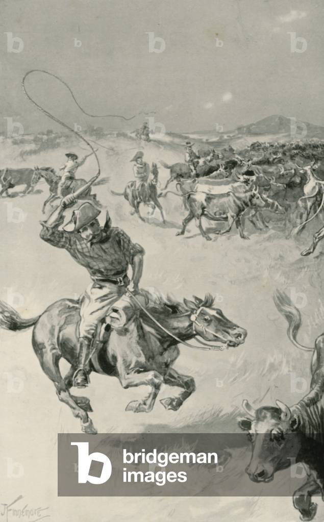 Cattle-Mustering in Queensland (litho)