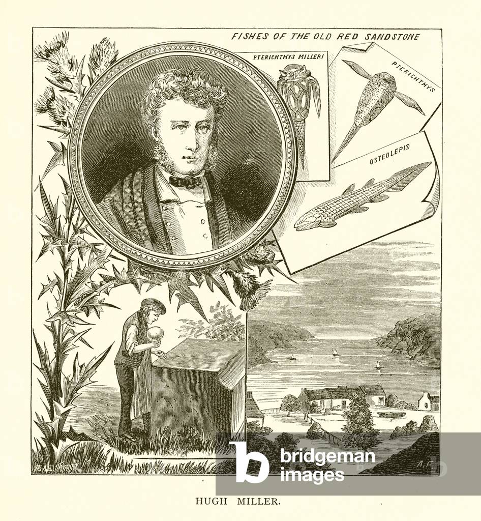 Hugh Miller (engraving)