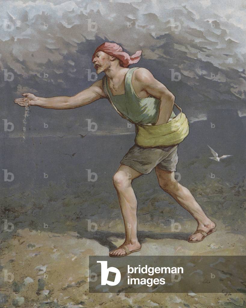 The Sower (colour litho)