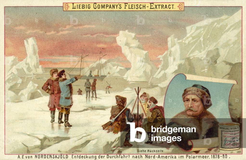 Adolf Erik Nordenskiold's expedition to the Northwest Passage, 1878-1880 (chromolitho)