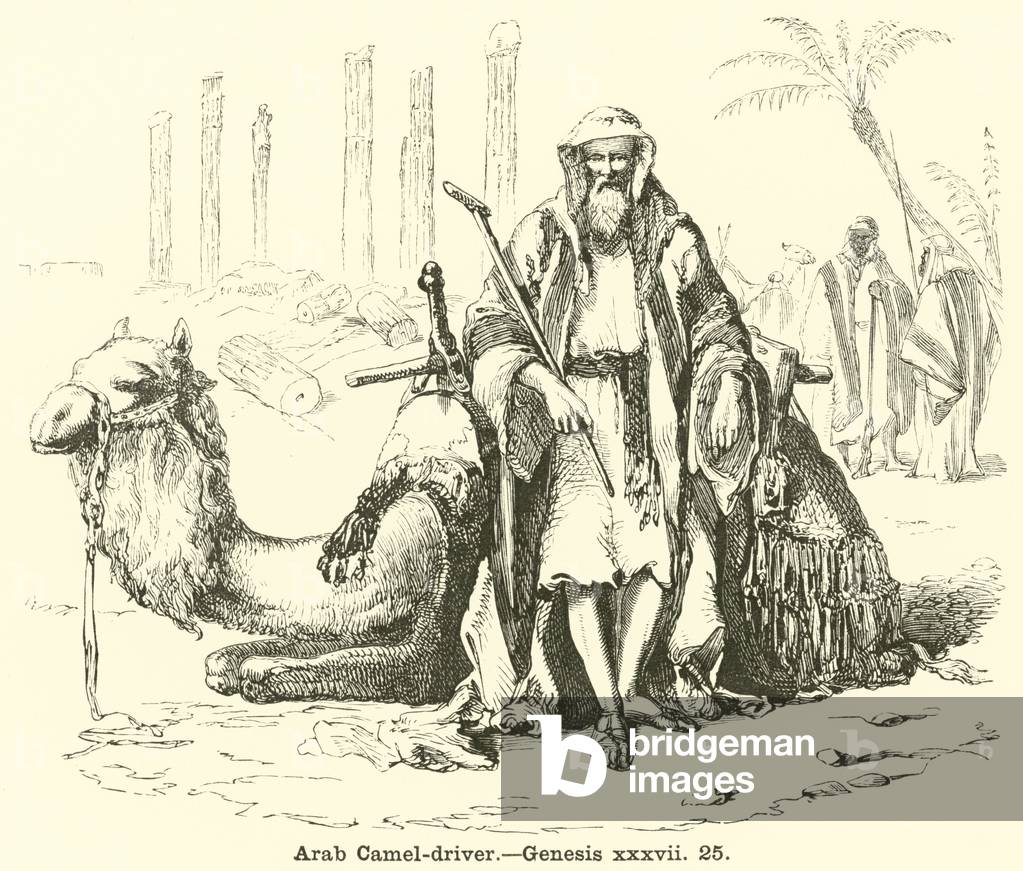 Arab Camel-driver, Genesis, xxxvii, 25 (engraving)