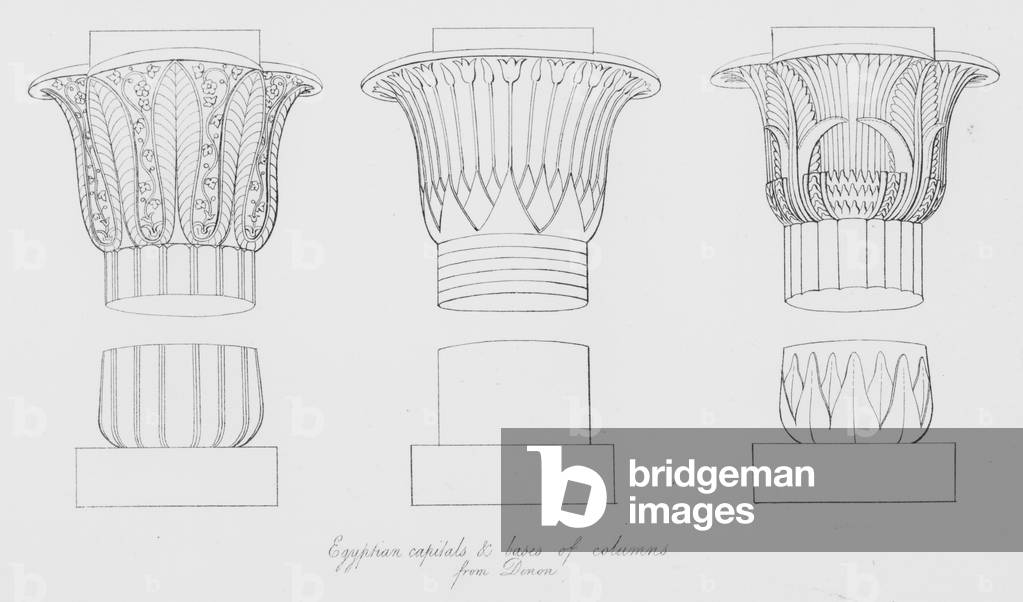 Egyptian capitals and bases of columns, from Denon (engraving)