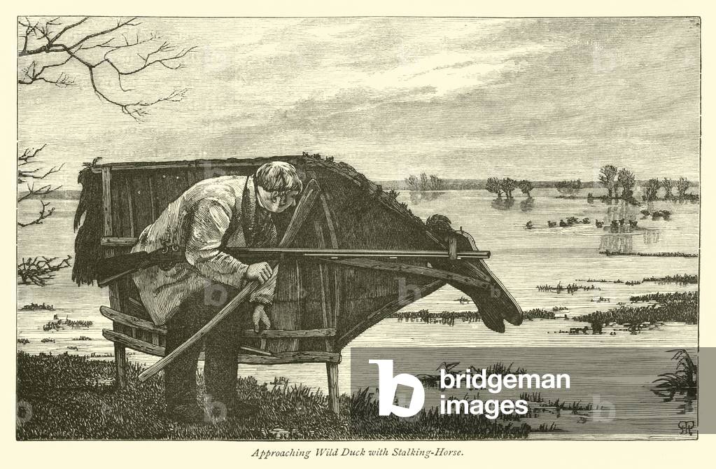 Approaching Wild Duck with Stalking-Horse (engraving)