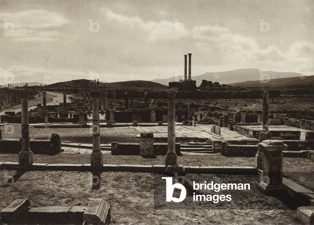 Timgad, The capitol (b/w photo)