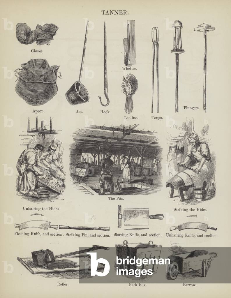 Tanner (engraving)