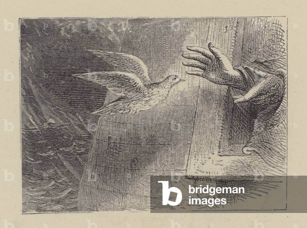 Noahs dove (engraving)