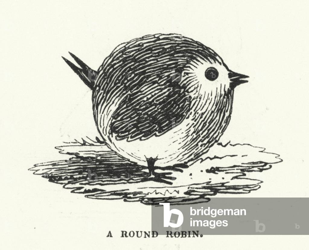 A round robin (engraving)