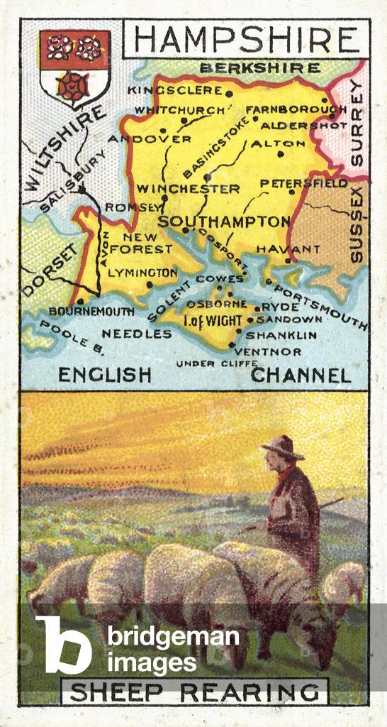 Hampshire, Sheep Rearing (chromolitho)