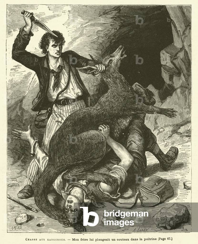 Chasse Aux Kangurous (engraving)