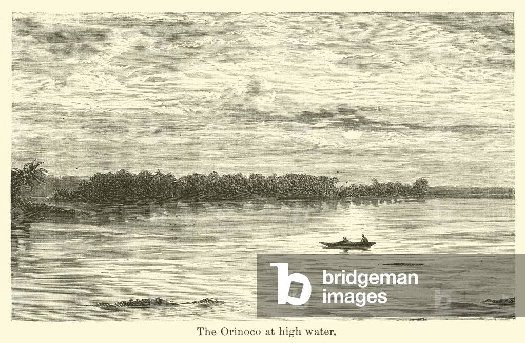 The Orinoco at high water (engraving)