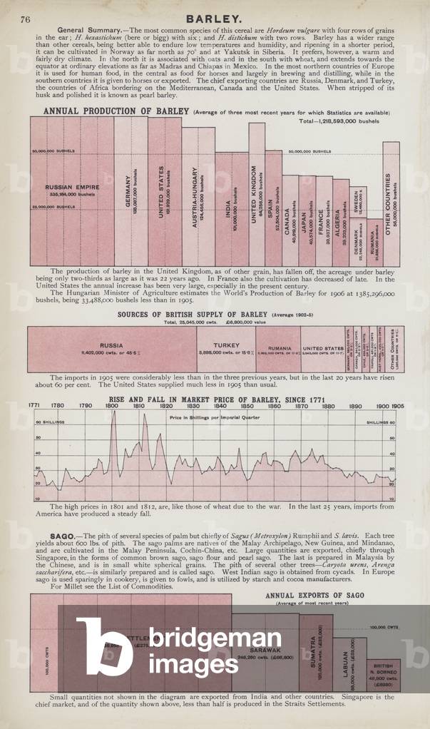Barley (colour litho)