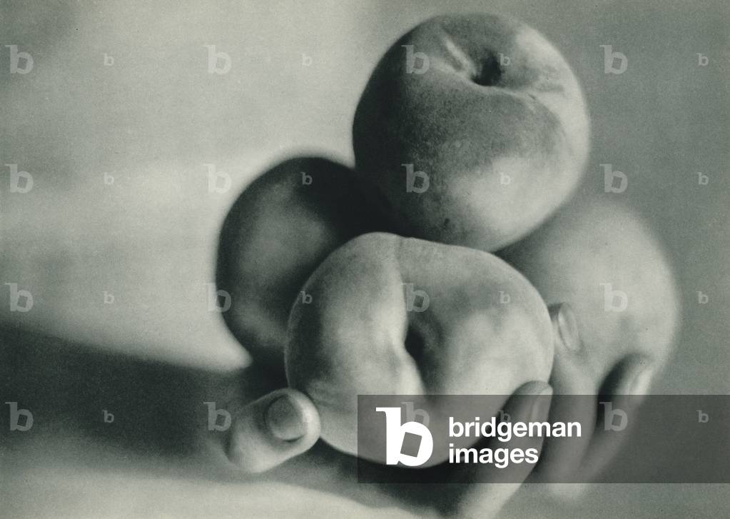 Turkey: Bursa seftalisi, Delicious Peaches grow at Bursa (b/w photo)
