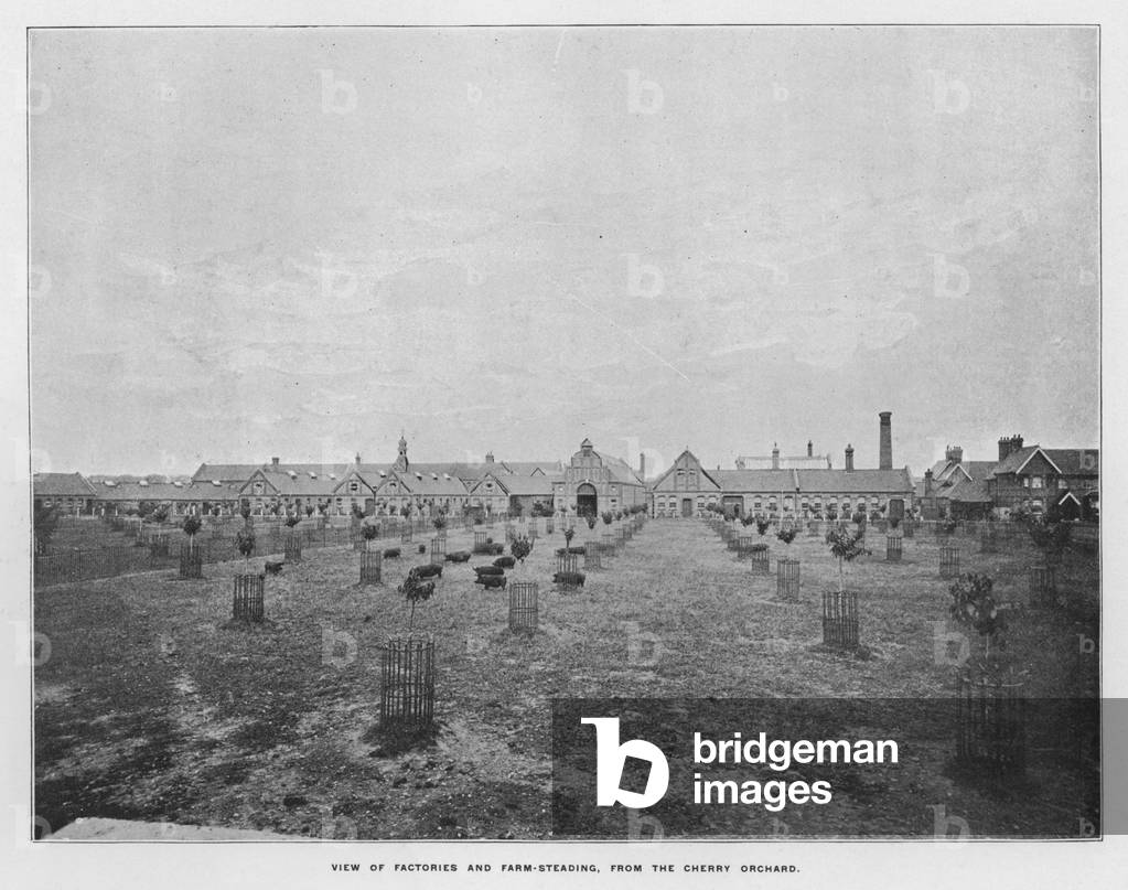 Whiteley's Farms: View of factories and farm-steading, from the cherry orchard (b/w photo)