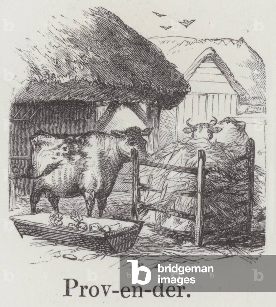Provender (engraving)