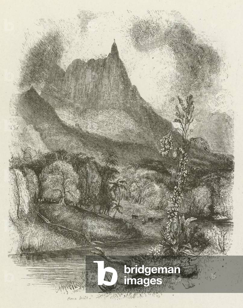 View of Peter-Booth (engraving)