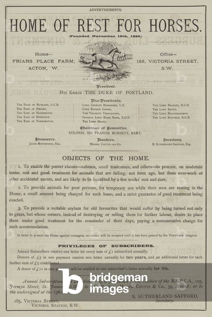 Appeal for Home Of Rest For Horses (engraving)