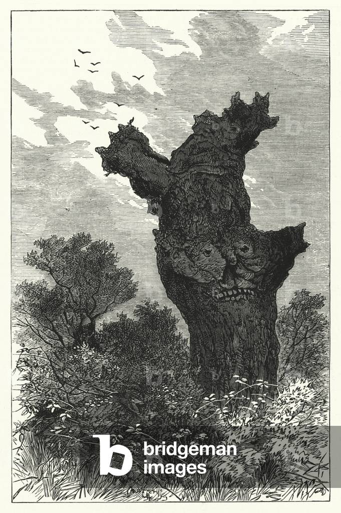 Monkey Tree, Burnham Beeches, Buckinghamshire (litho)