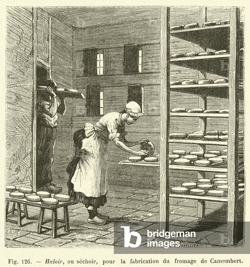Haloir, ou sechoir, pour la fabrication du fromage de Camembert (engraving)