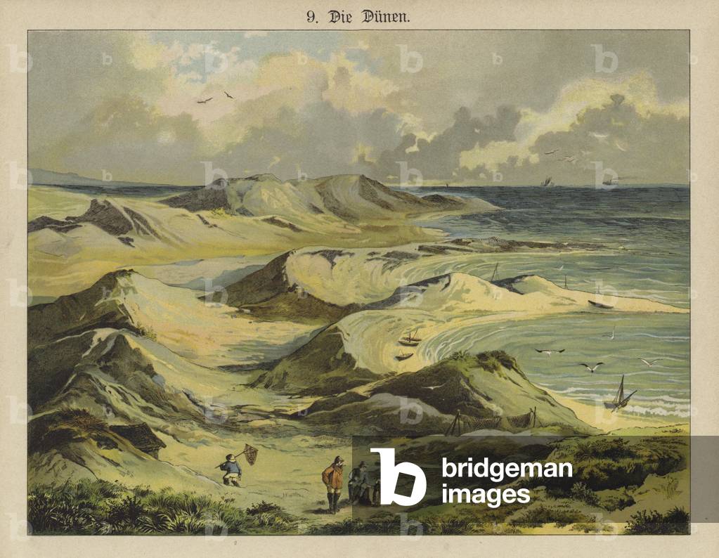 Sand dunes (colour litho)