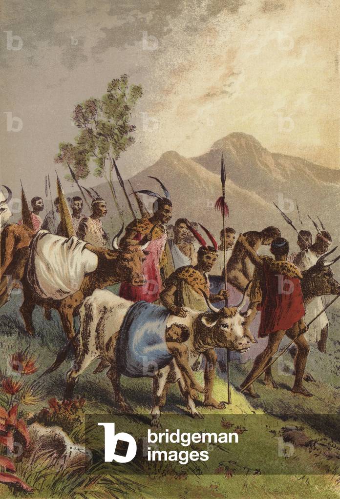 Kaffirs carrying their wounded from the war (colour litho)