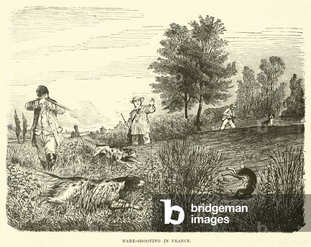 Hare-shooting in France (engraving)