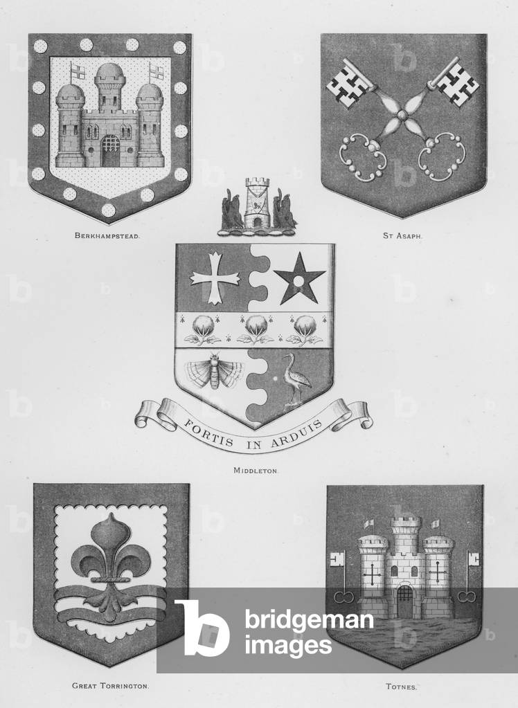 Public arms: Berkhampstead; St Asaph; Middleton; Great Torrington; Totnes (engraving)