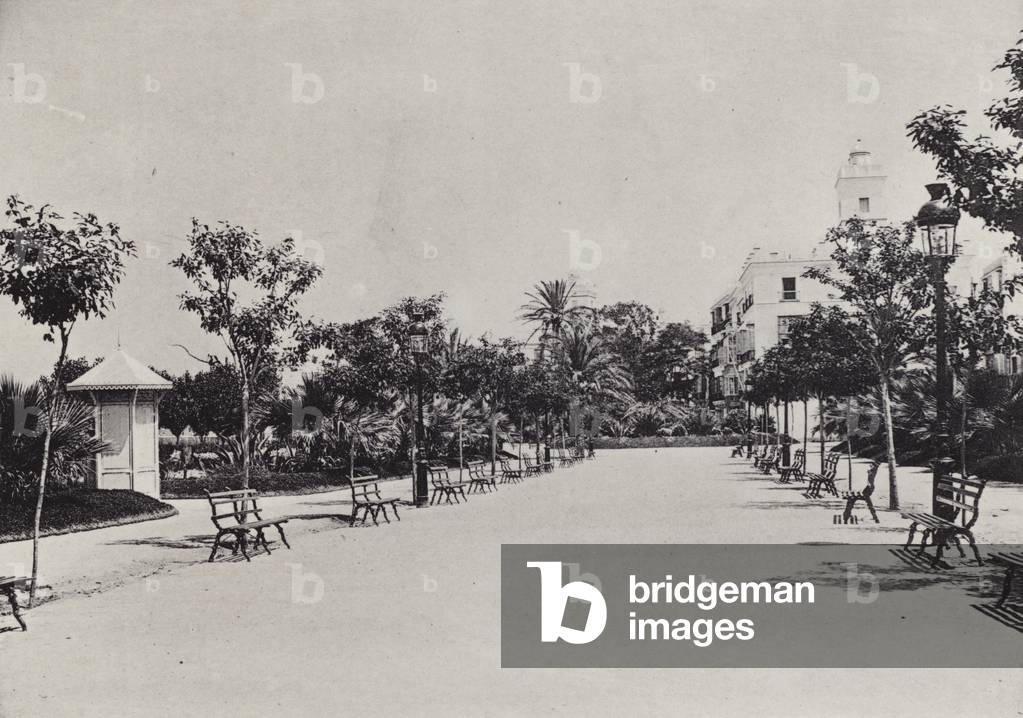 Cadiz: Alameda de Apodaca (b/w photo)