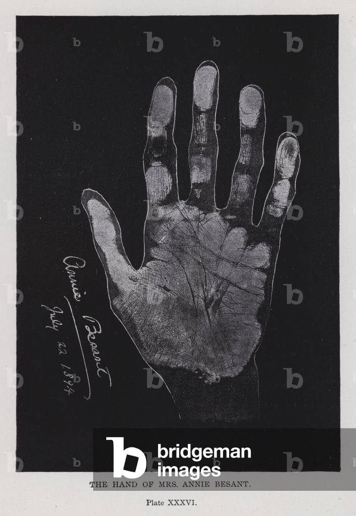 The hand of  Mrs Annie Besant (b/w photo)
