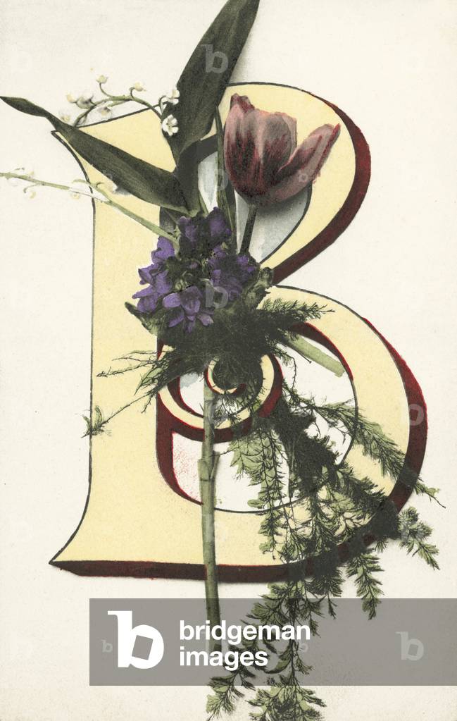 The Letter B (colour litho)
