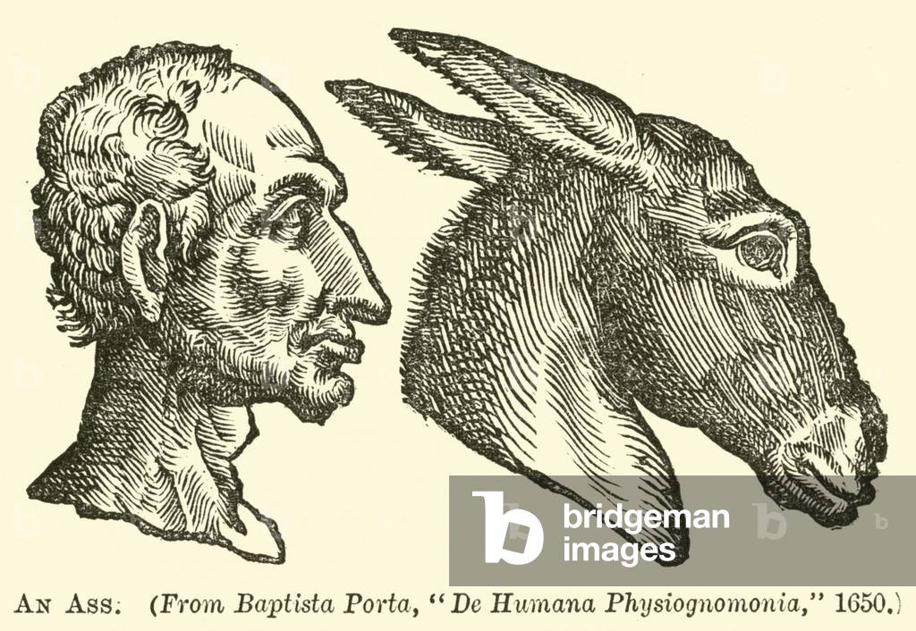 An Ass (engraving)