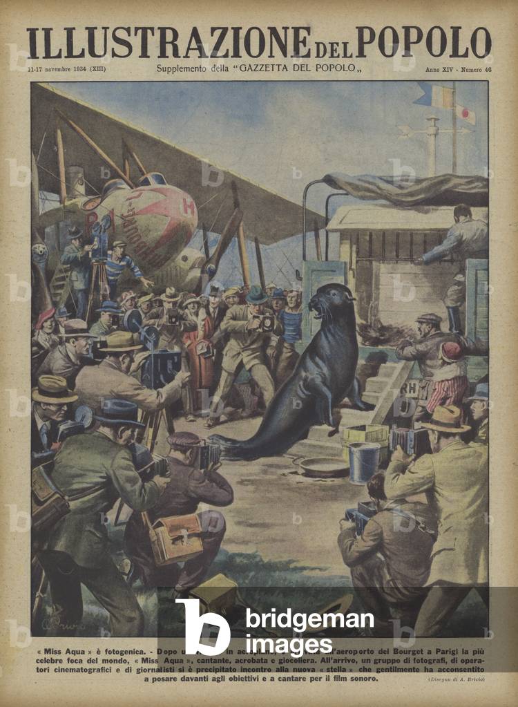 Arrival of the famous performing seal Miss Aqua at Le Bourget Airport, Paris, 1934 (colour litho)