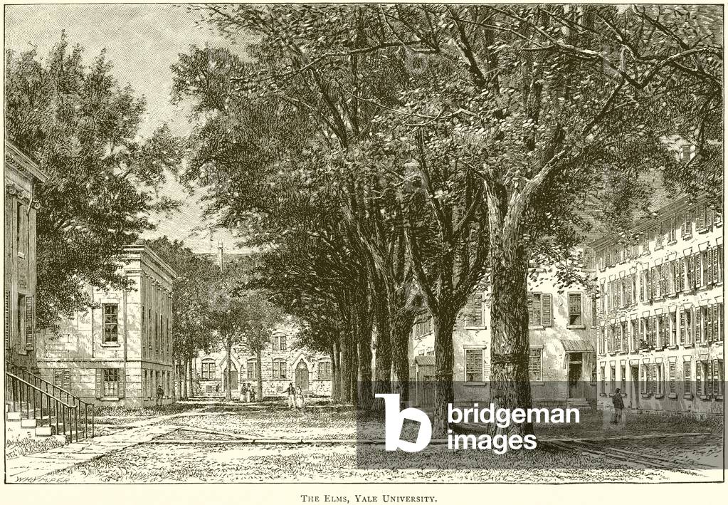 The Elms, Yale University (engraving)
