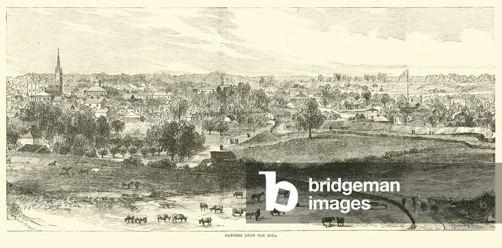 Natchez upon the hill, May 1862 (engraving)