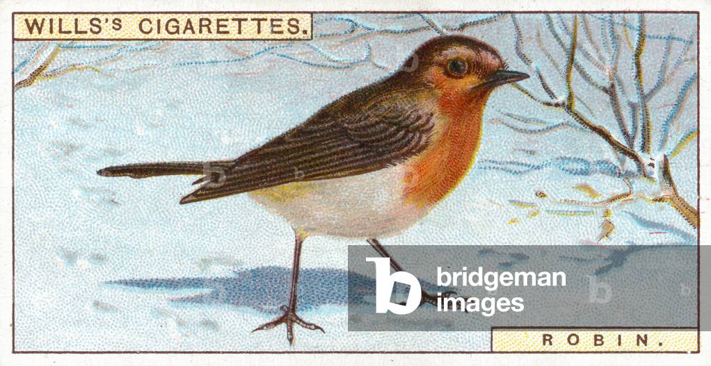 Robin (chromolitho)